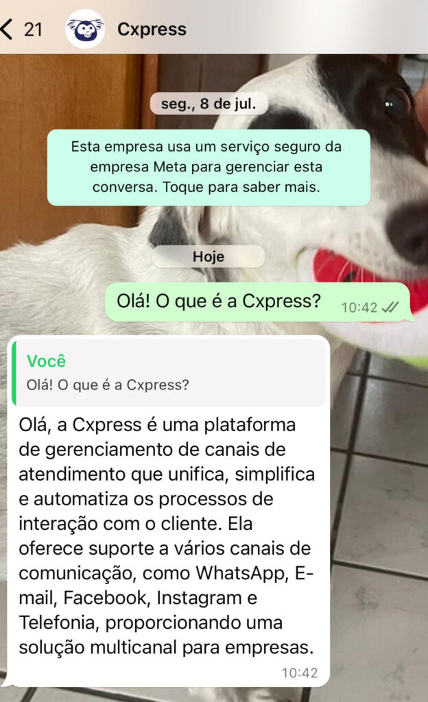 chatbot whatsapp